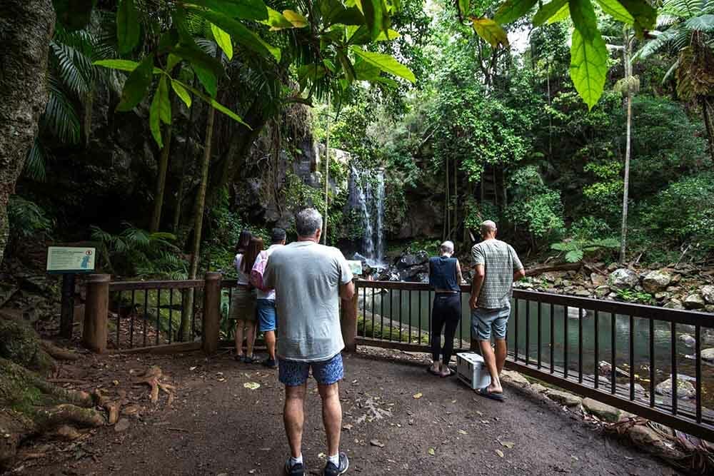 curtis-falls-tamborine-mountain - Londoner In Sydney