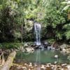 curtis-falls-tamborine-mountain