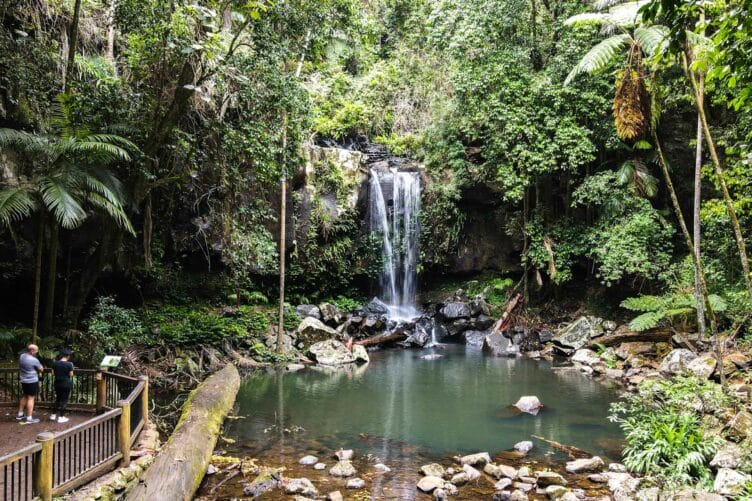 curtis-falls-tamborine-mountain