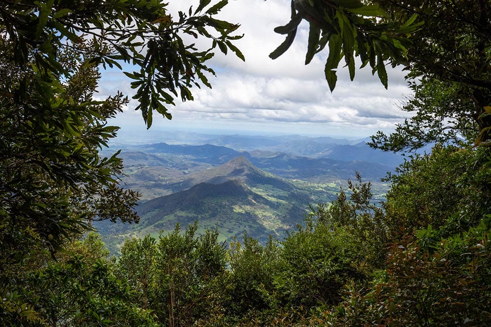 Chalahn-falls-lamington-national-park-toolona-lookout