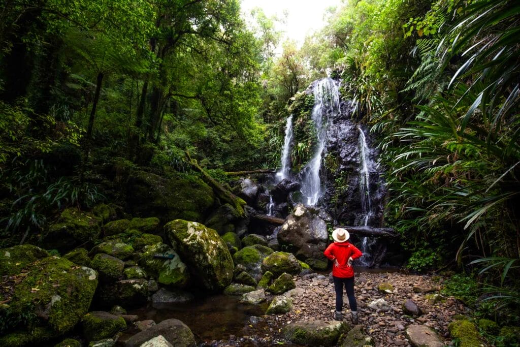 Chalahn-falls-lamington-national-park