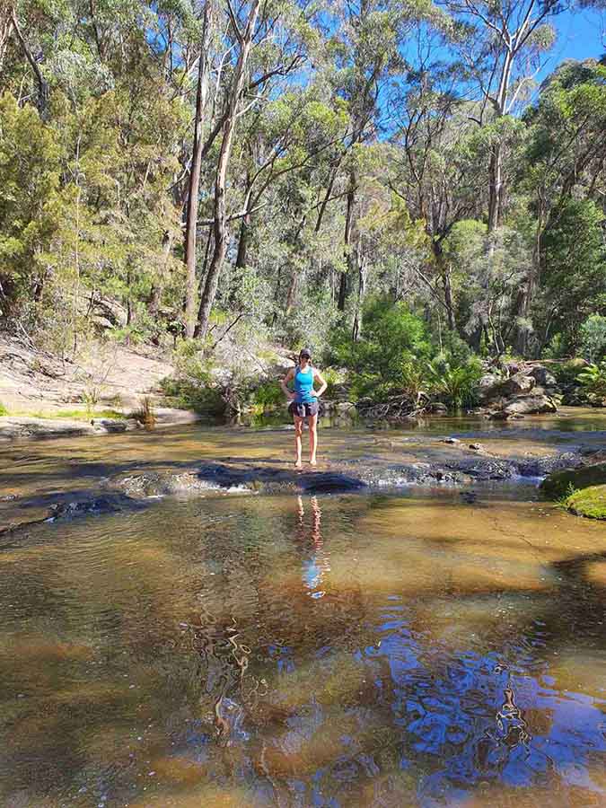Forty-Foot-Falls-box-vale-walking-track-sydney