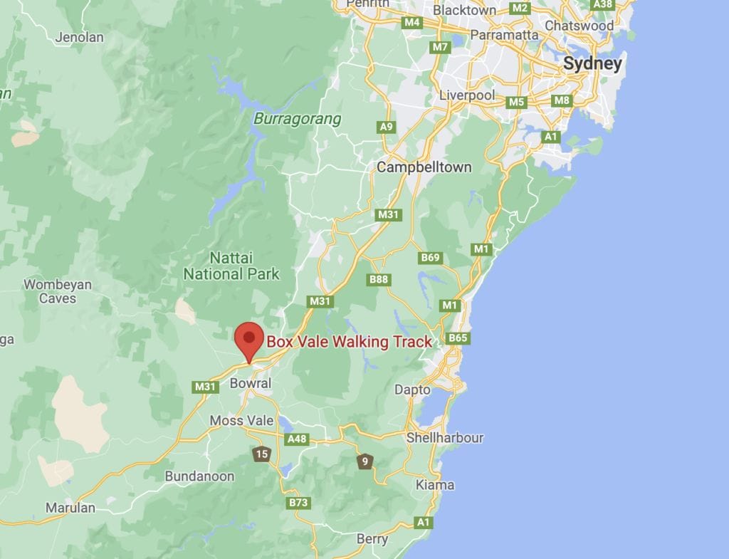 box-vale-walking-track-southern-highlands - Londoner In Sydney box-vale-walking-track-southern-highlands