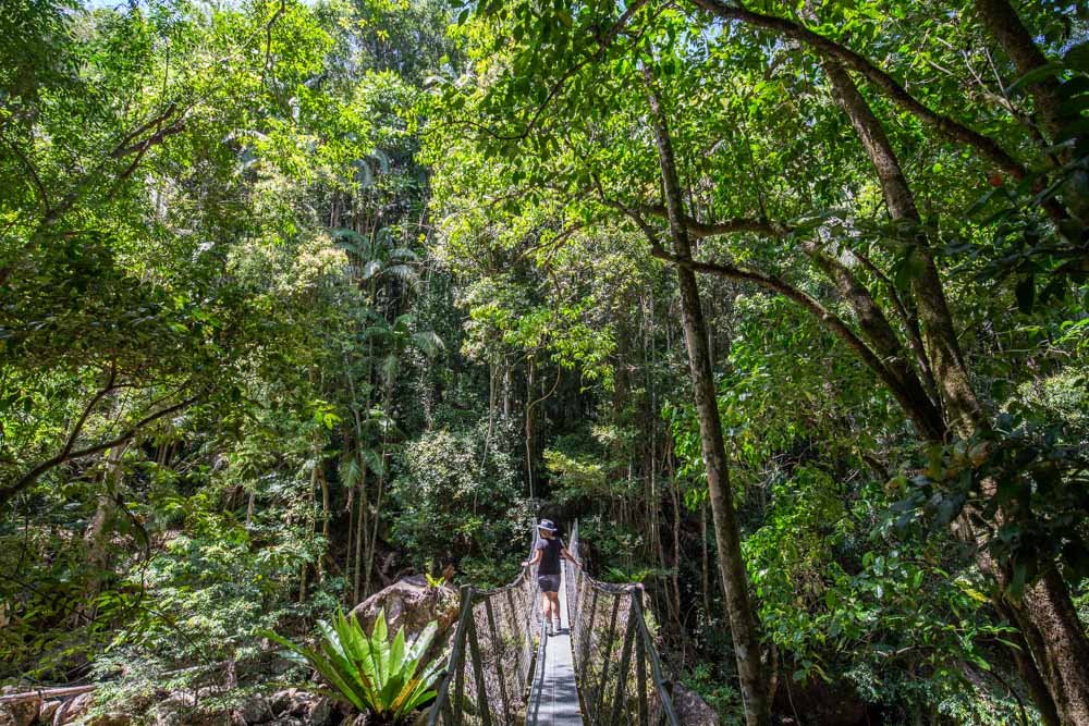 baxter-falls-walk-sunshine-coast