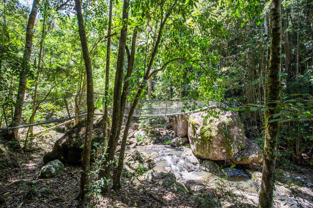 baxter-falls-walk-sunshine-coast