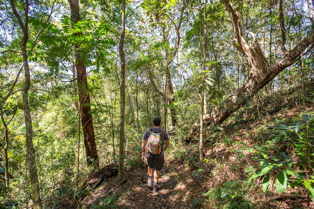 baxter-falls-walk-sunshine-coast - Londoner In Sydney
