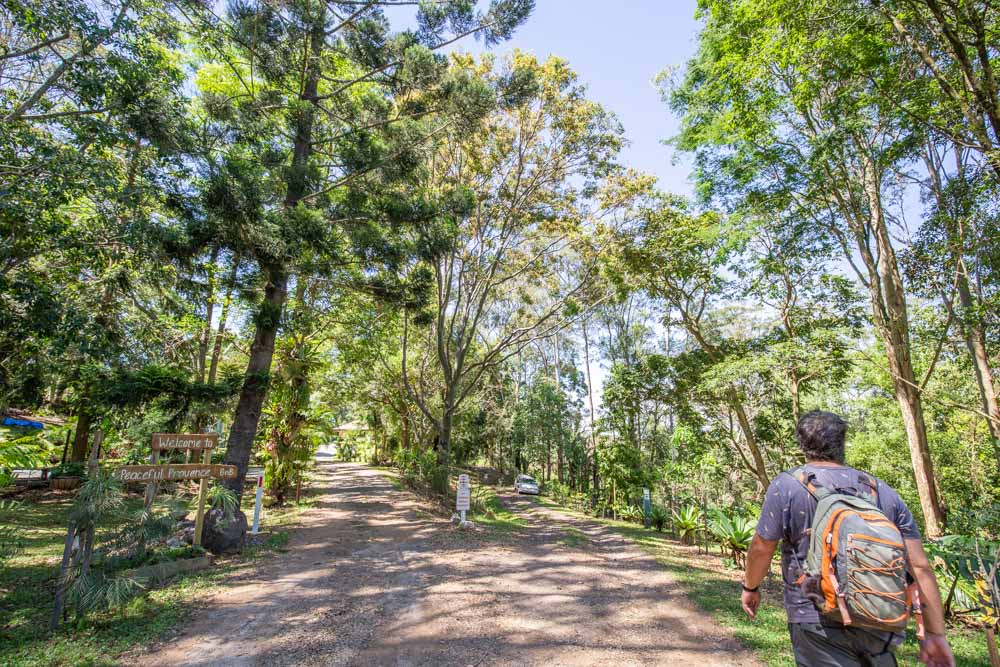 baxter-falls-walk-sunshine-coast