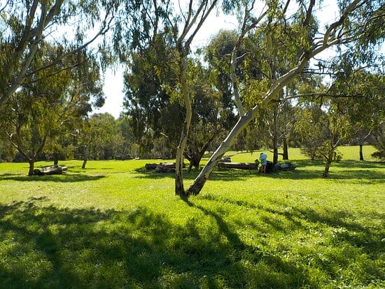 wetland-reserve-thornbury