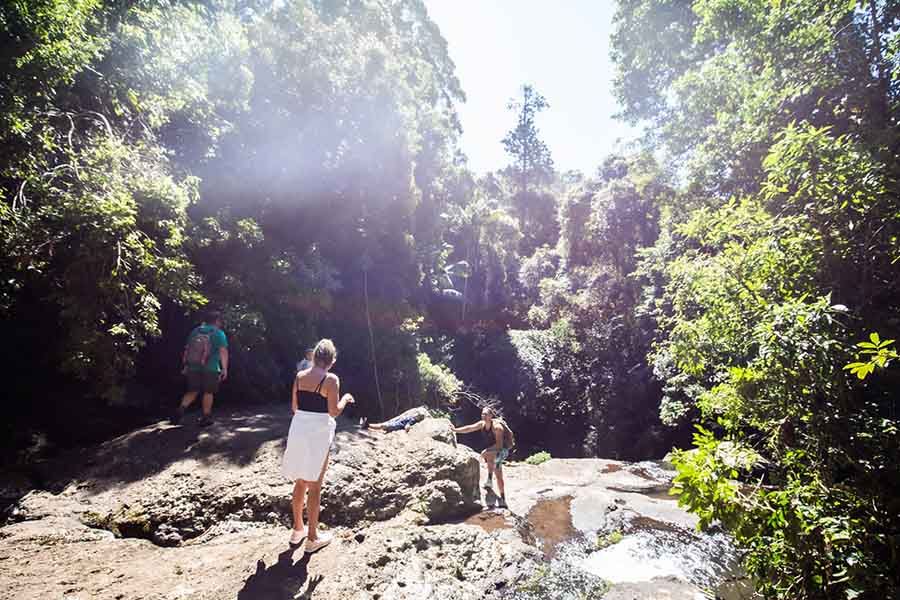 lamington-national-park-box-forest-trail-picnic-creek