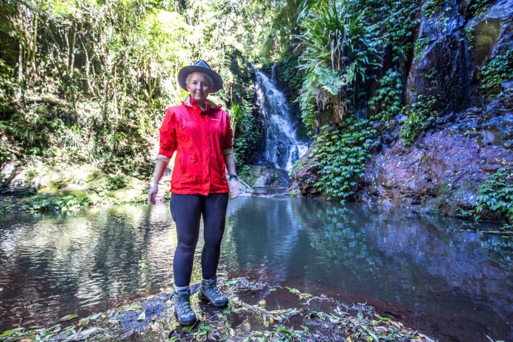 lamington-national-park-box-forest-trail-elabana-falls