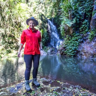lamington-national-park-box-forest-trail-elabana-falls