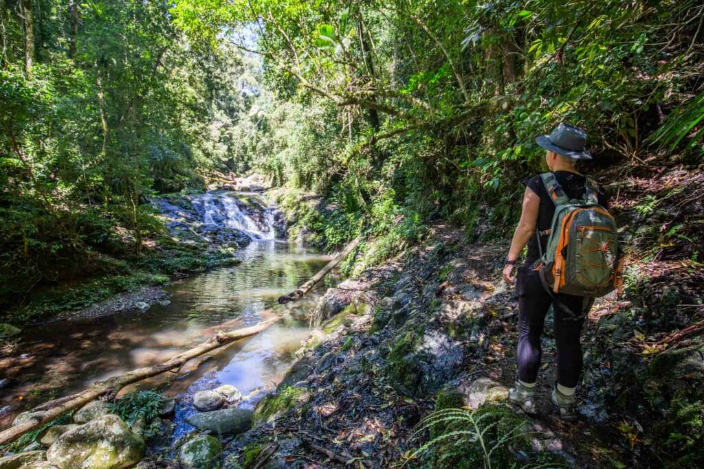 lamington-national-park