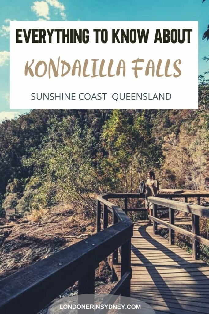 kondalilla-falls - Londoner In Sydney kondalilla-falls