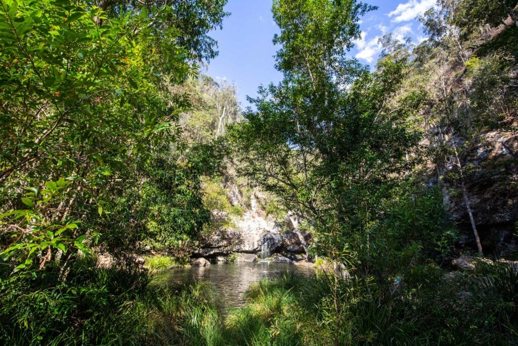 kondalilla-falls - Londoner In Sydney