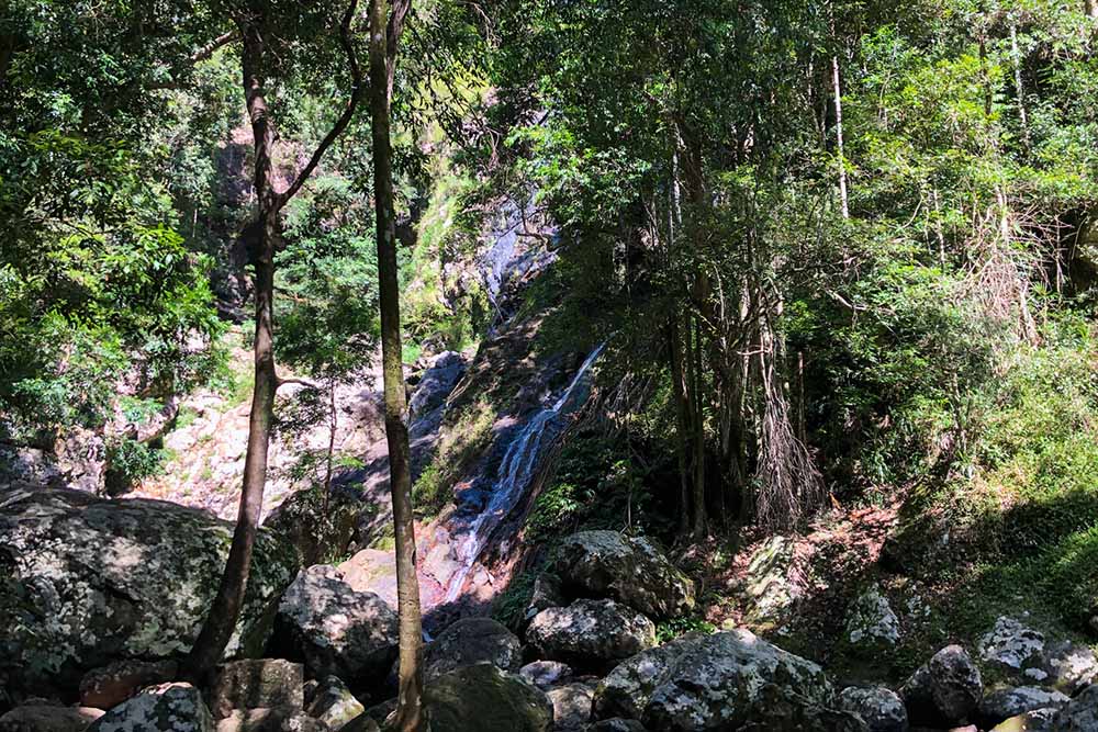 kondalilla-falls - Londoner In Sydney