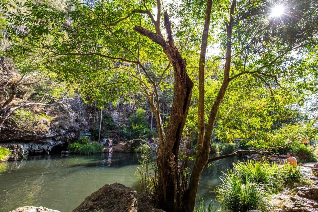 kondalilla-falls - Londoner In Sydney