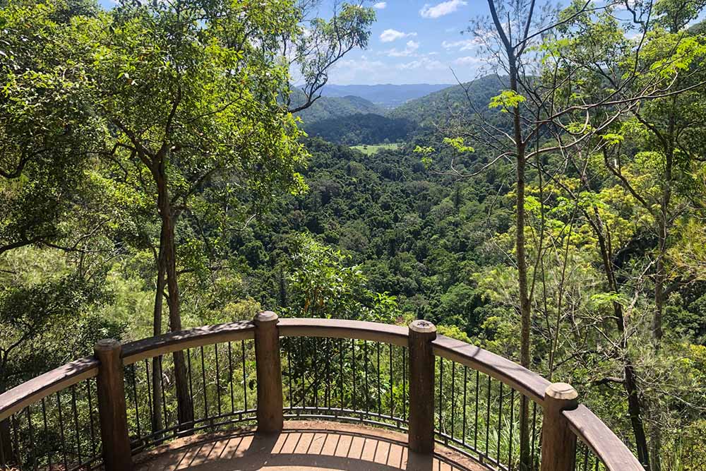 kondalilla-falls - Londoner In Sydney kondalilla-falls