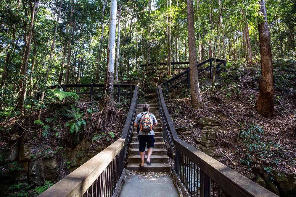 kondalilla-falls - Londoner In Sydney