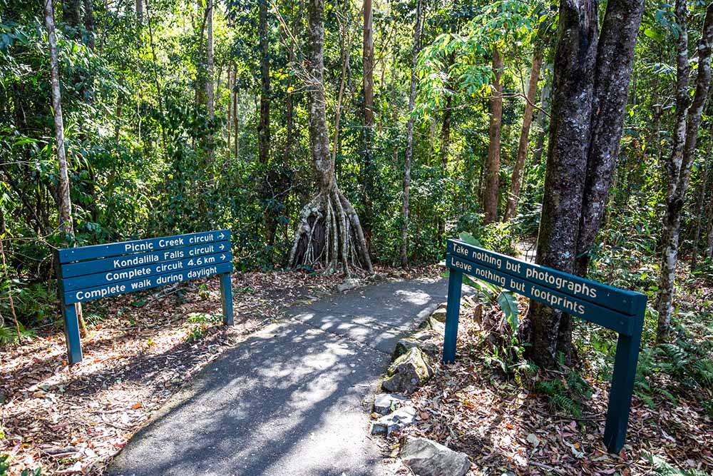 kondalilla-falls-sunshine-coast - Londoner In Sydney