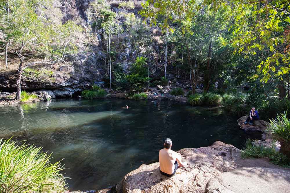 kondalilla-national-park - Londoner In Sydney kondalilla-national-park
