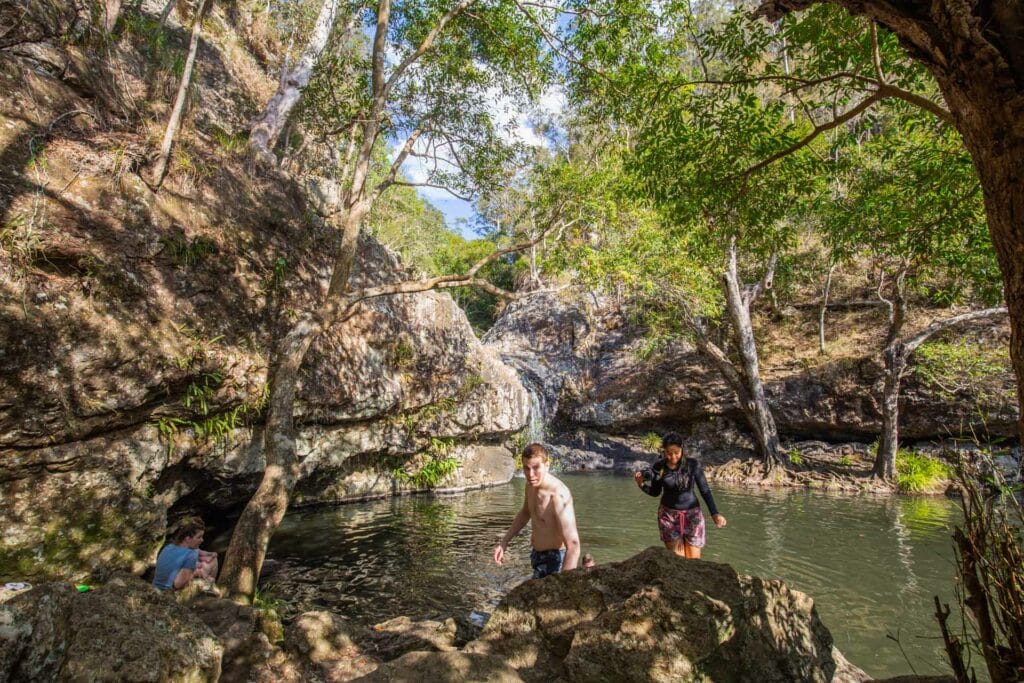 kondalilla-falls-sunshine-coast - Londoner In Sydney kondalilla-falls-sunshine-coast