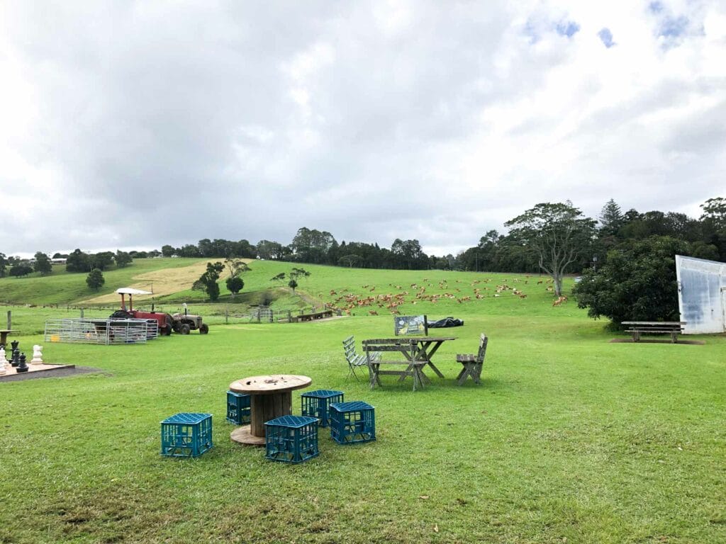 maleny-dairies