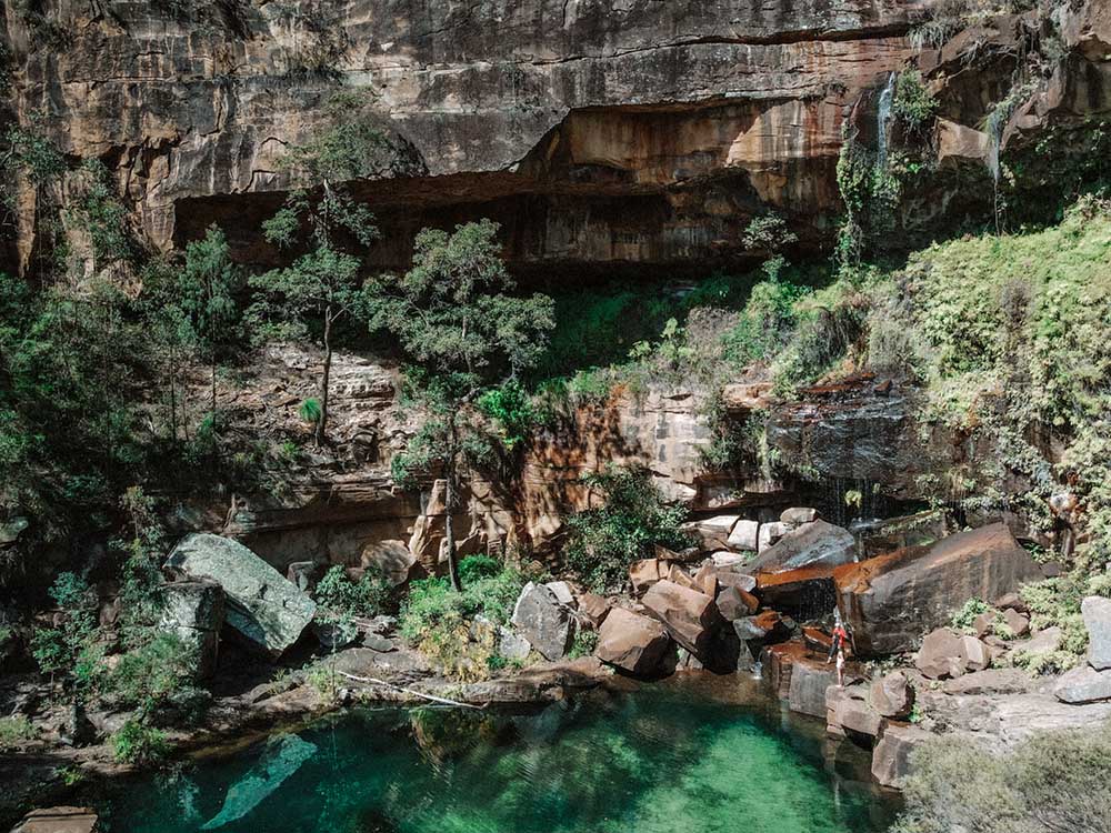blackdown-tablelands - Londoner In Sydney