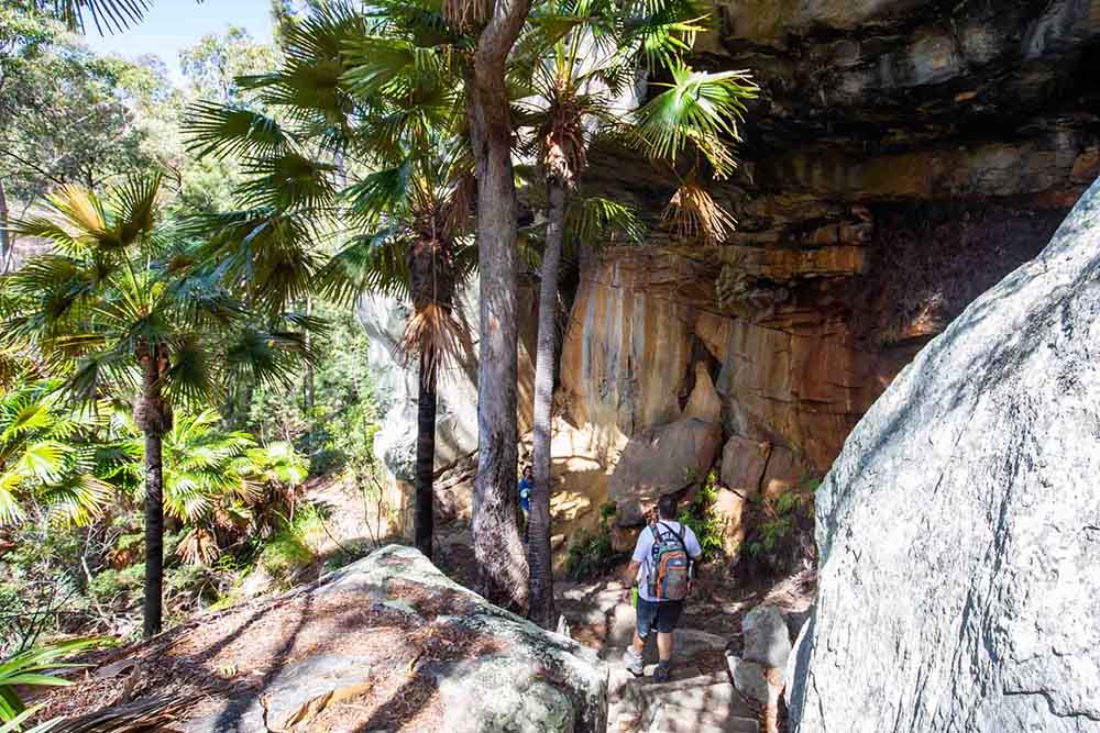 blackdown-national-park - Londoner In Sydney
