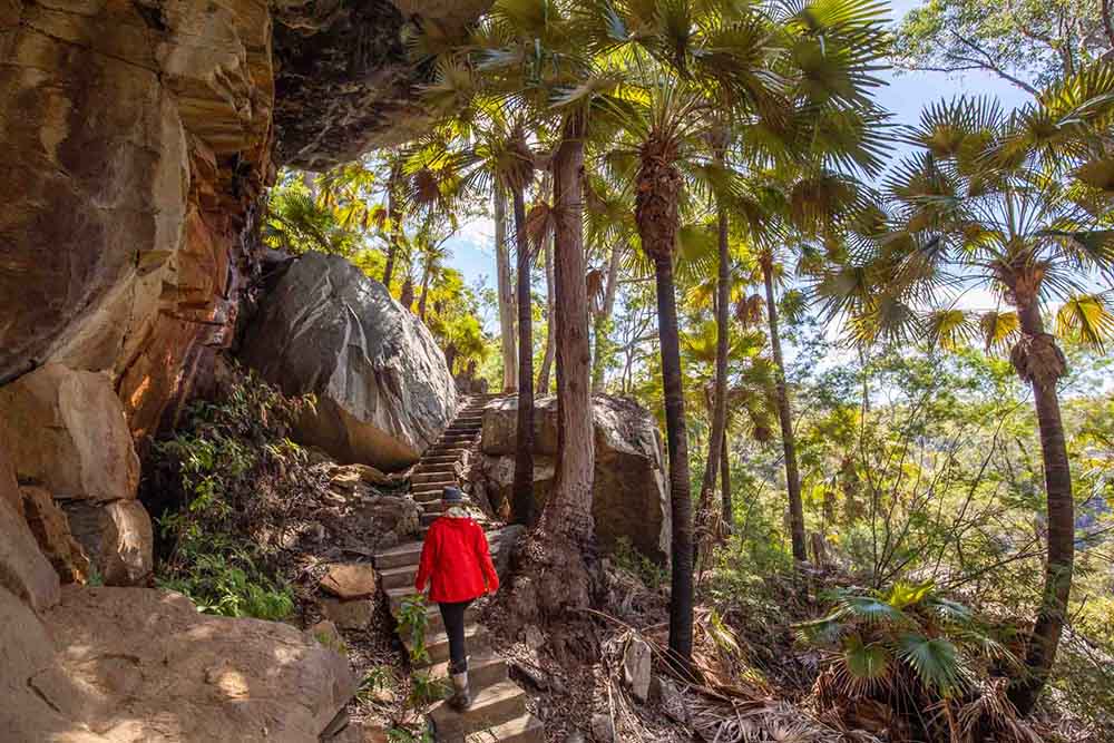 blackdown-tablelands - Londoner In Sydney