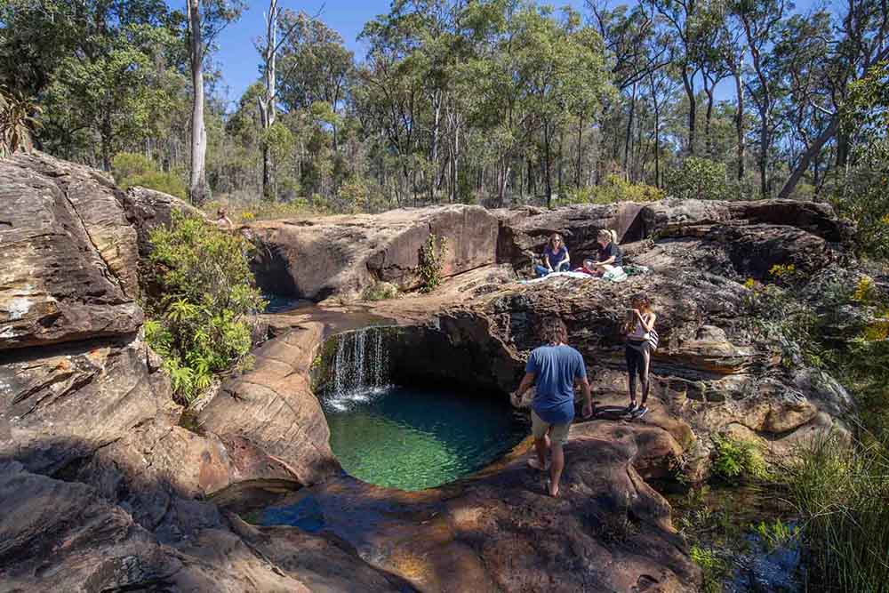 blackdown-tablelands - Londoner In Sydney