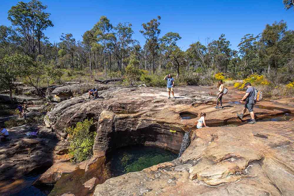blackdown-tablelands - Londoner In Sydney