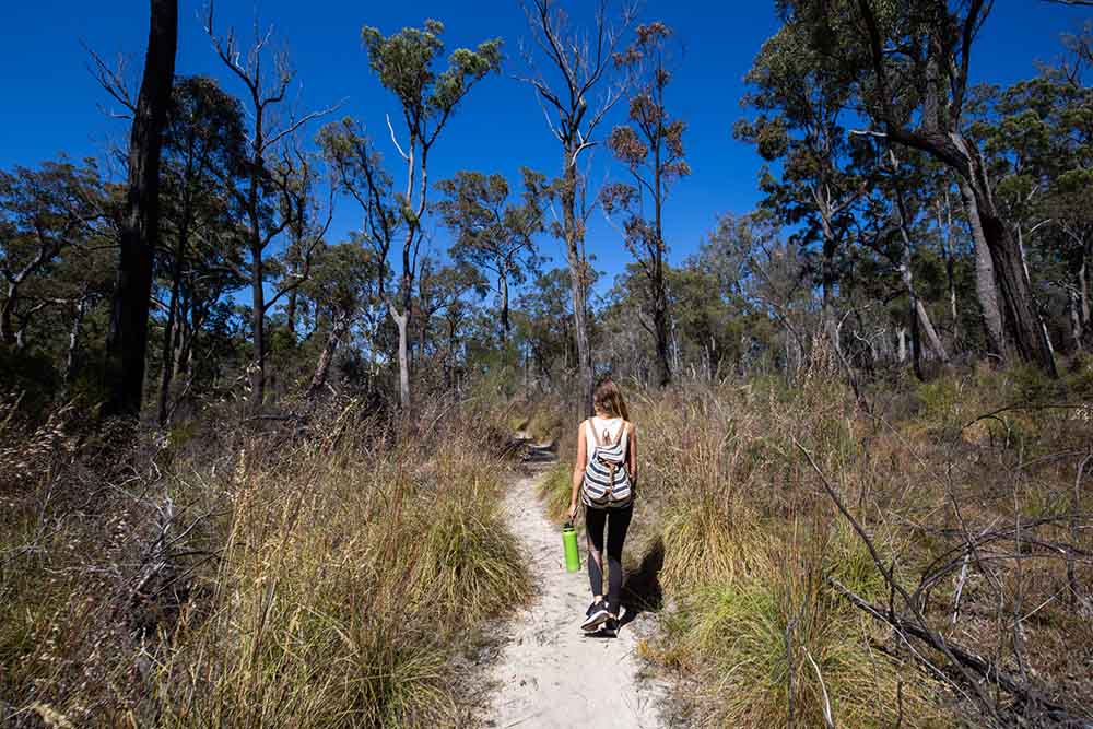 blackdown-tablelands - Londoner In Sydney