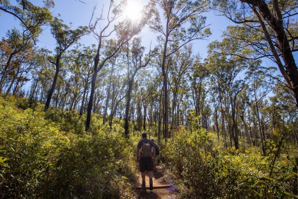 blackdown-national-park - Londoner In Sydney