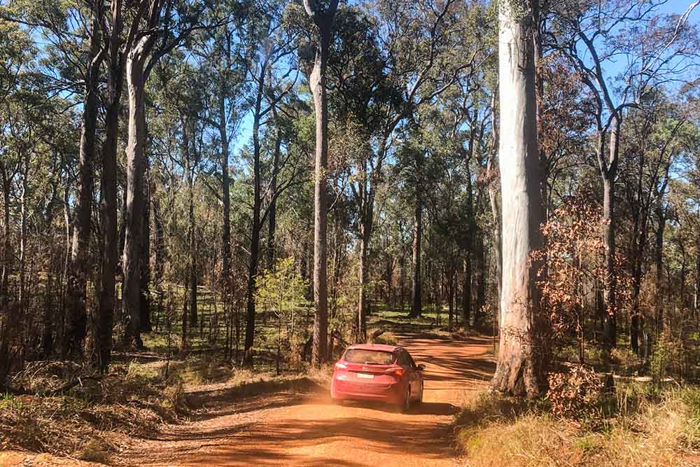 blackdown-tablelands-road