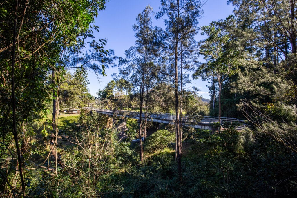fig-tree-walk-kenilworth