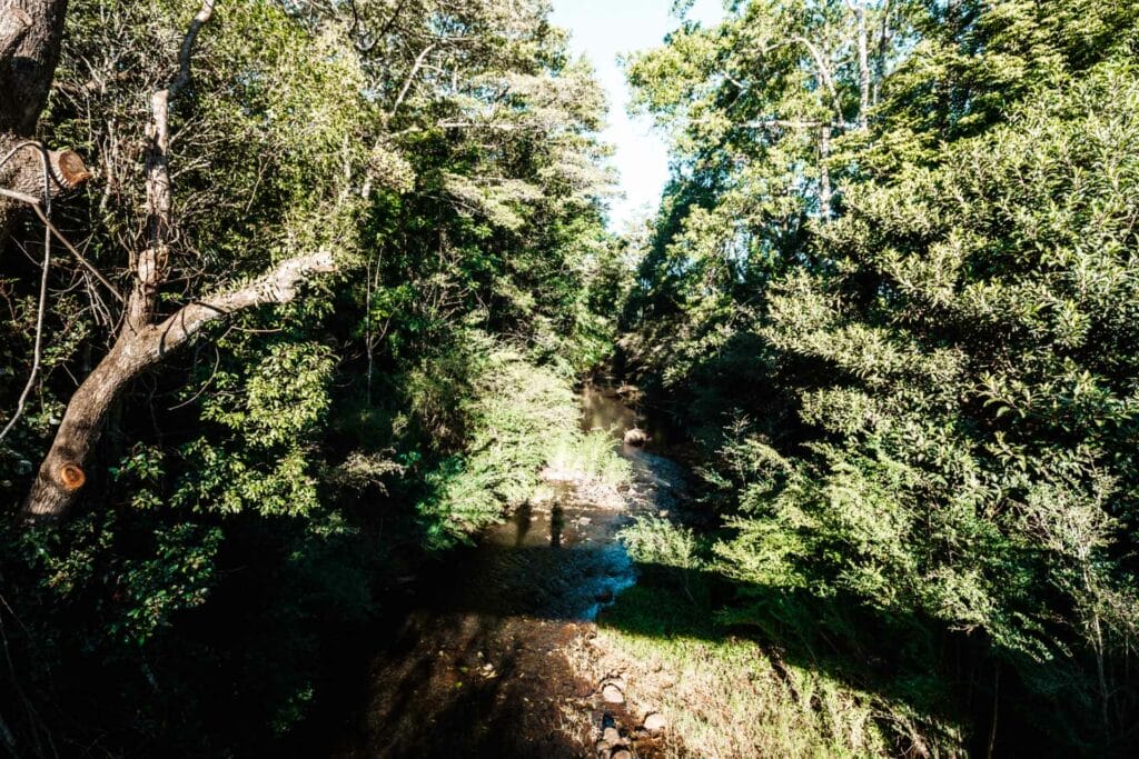 obi-boardwalk-maleny