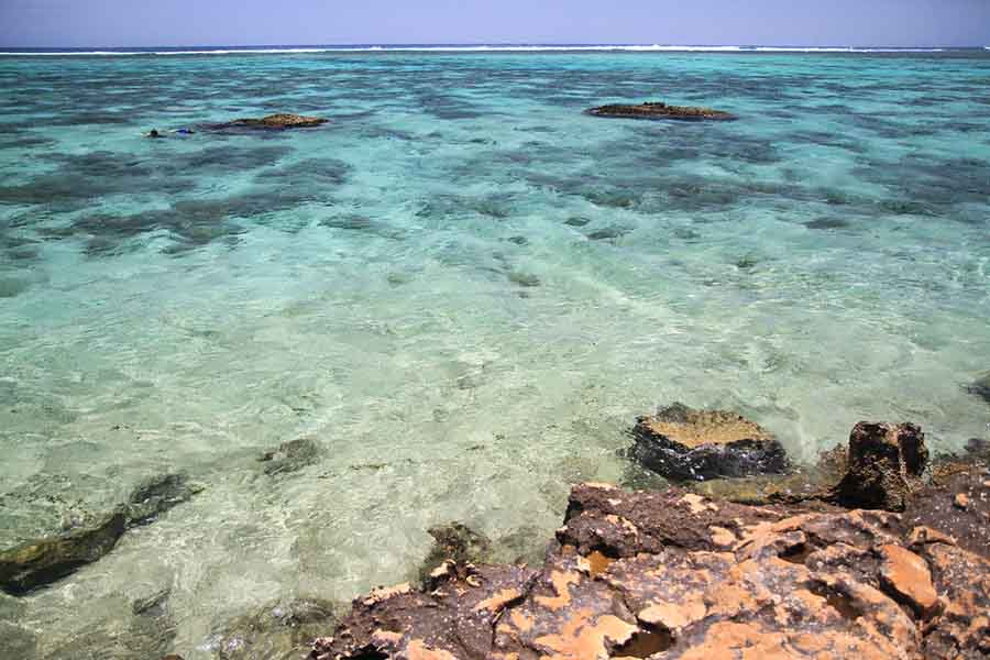 12634651034_457cc0fa3d_b - Londoner In Sydney oyster-stacks-exmouth