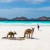 lucky-bay-esperance-western-australia