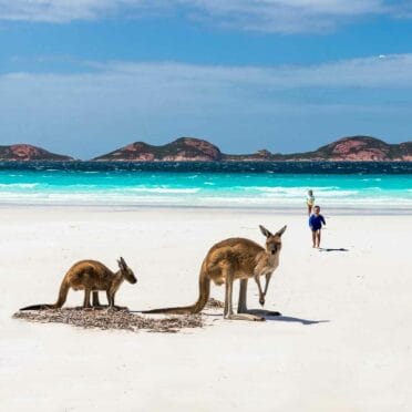 lucky-bay-esperance-western-australia