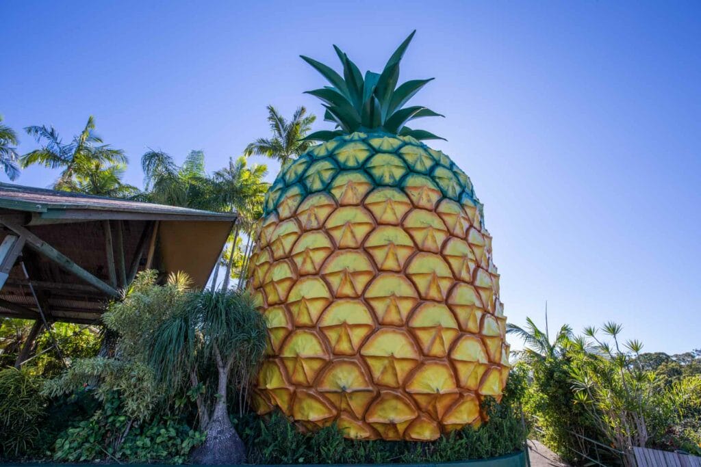 big-pineapple-sunshine-coast
