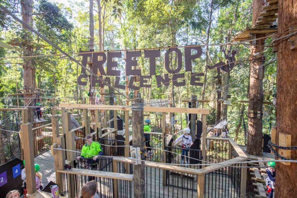 treetop-challenge-sunshine-coast - Londoner In Sydney treetop-challenge-sunshine-coast