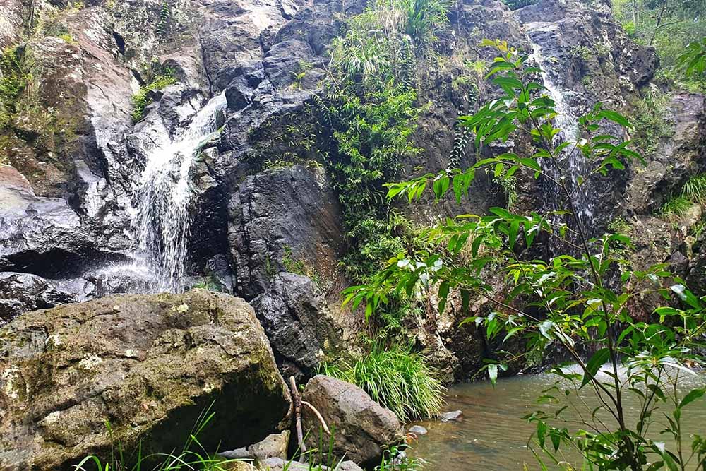 robinson-falls-nambour - Londoner In Sydney robinson-falls-nambour