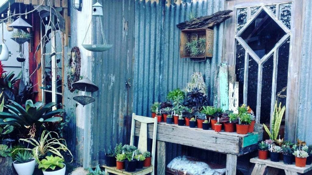 cedar-and-vine-yandina - Londoner In Sydney cedar-and-vine-yandina