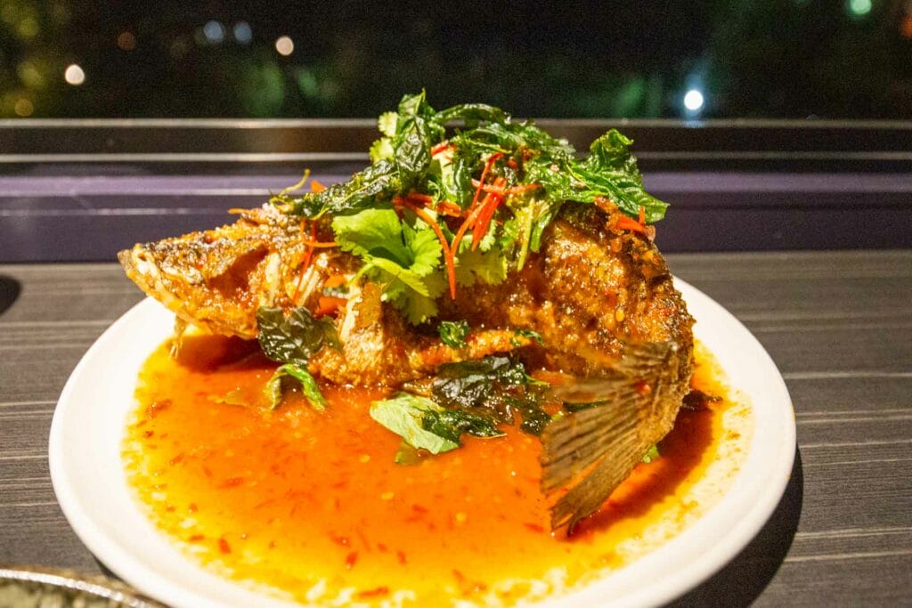 IMG_0806 - Londoner In Sydney spirit-house-yandina