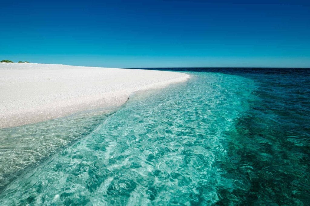 wilson-island-queensland