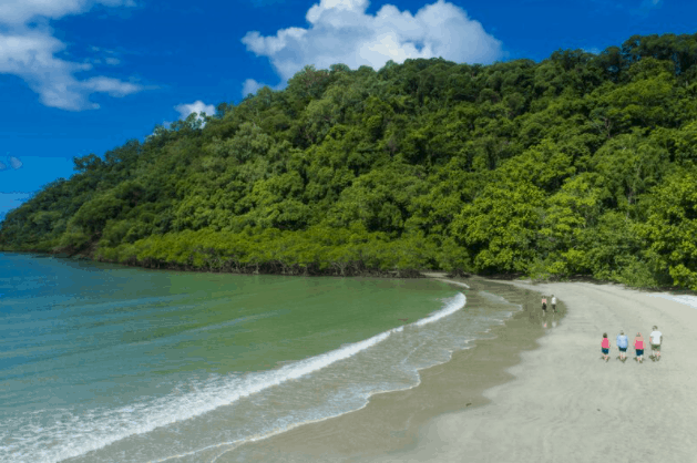 cape-tribulation-tour - Londoner In Sydney cape-tribulation-tour