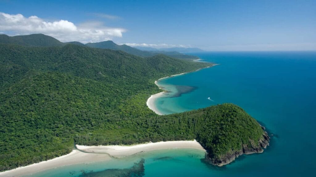 Cape-Tribulation-tropical-north-queensland - Londoner In Sydney Cape-Tribulation-tropical-north-queensland