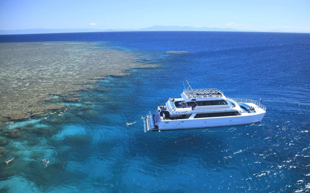 outer-reef-snorkel-tour-port-douglas - Londoner In Sydney outer-reef-snorkel-tour-port-douglas