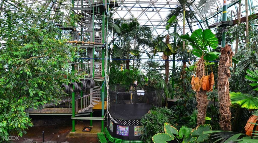 Cairns-ZOOM-Wildlife-Dome-Cairns - Londoner In Sydney Cairns-ZOOM-Wildlife-Dome-Cairns