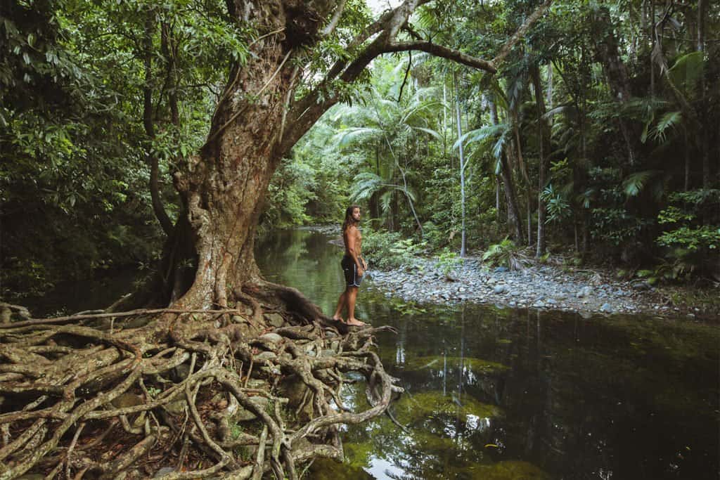 Emmagen-Creek-Daintree-rainforest - Londoner In Sydney Emmagen-Creek-Daintree-rainforest